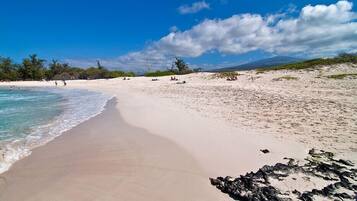 Chaises longues, serviettes de plage