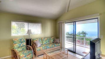 Téléviseur, lecteur de DVD, livres