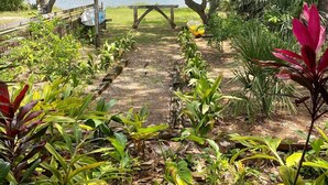 A garden pathway leading to a wooden bench overlooking a lake, surrounded by lush greenery and a wooden fence.