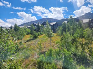 Un quartier résidentiel composé de plusieurs maisons, entouré de verdure et avec des montagnes en toile de fond.