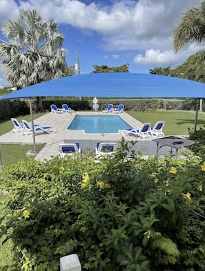 A swimming pool with lounge chairs and a blue canopy.