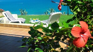 Property grounds - WHERE THE SUN AND THE SEA LIVE / AMAZING VIEW OF 180º OVER THE SEA (Monte Faro)