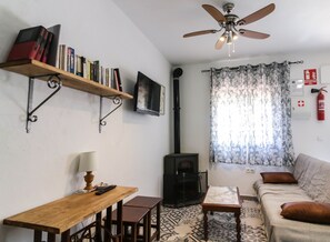 TV, fireplace, books