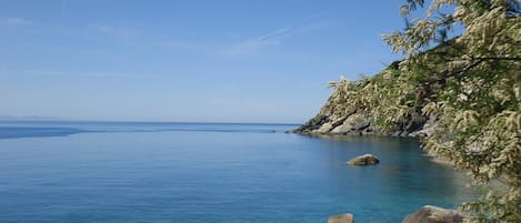 Beach | On the beach, sun-loungers