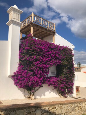 DĂ©tail de lâextĂ©rieur