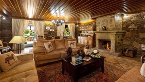 Un salón acogedor con chimenea de piedra, techo de madera y un sofá con cojines de motivos animales.