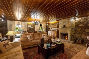 Télévision, cheminée, lecteur de DVD, table de tennis de table