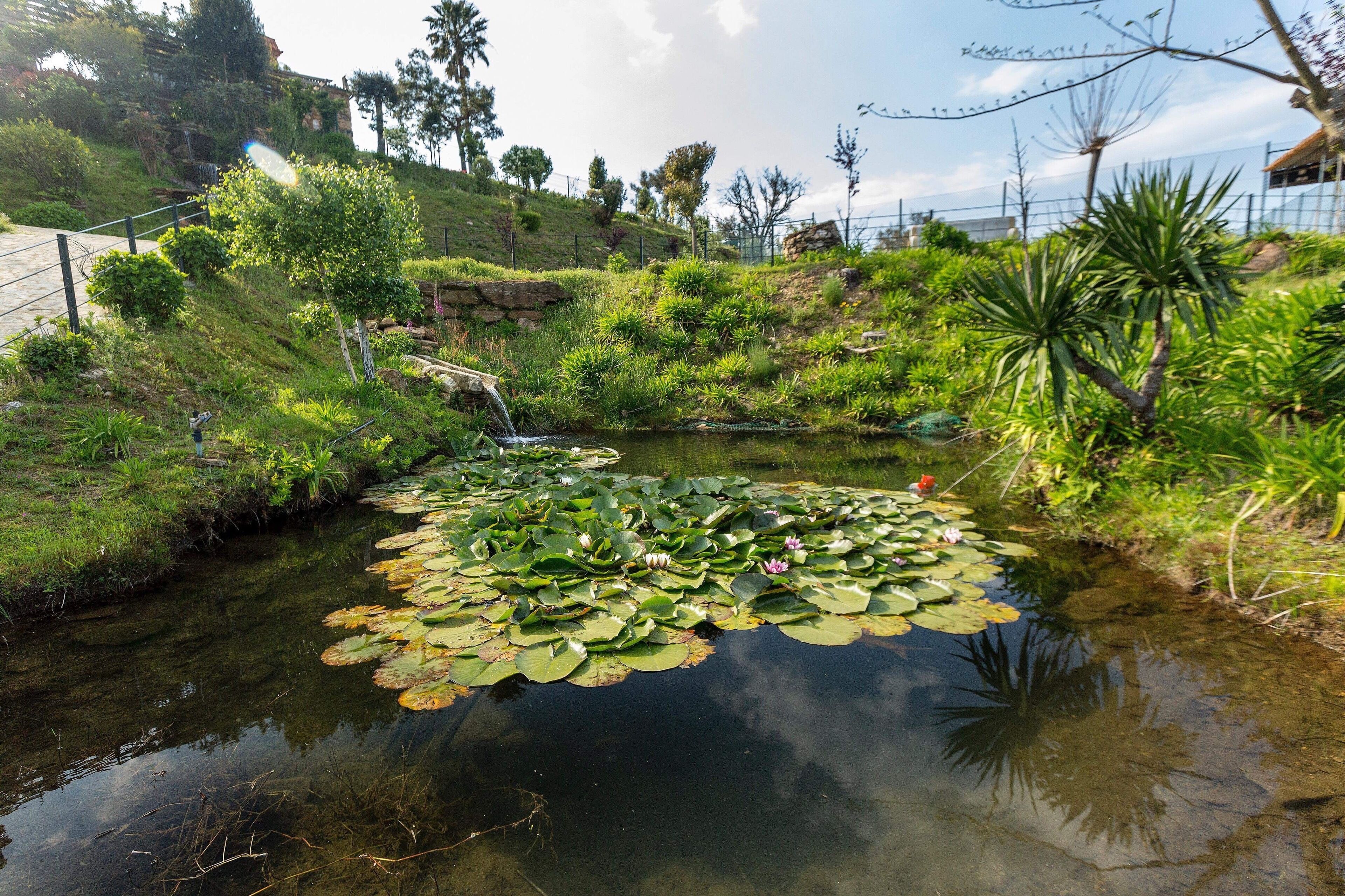 Overnattingsstedets uteområder