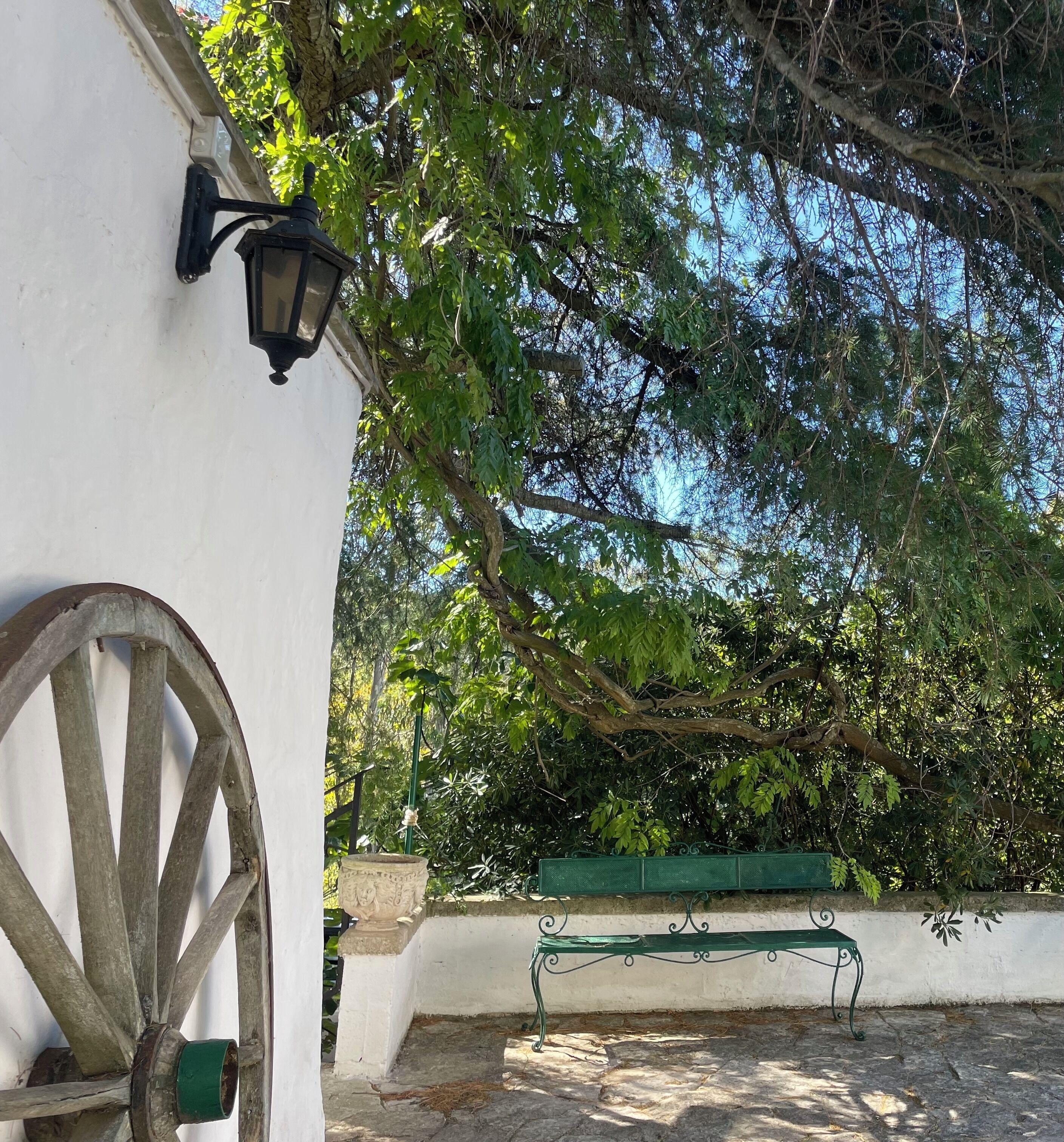 Many shaded areas throughout the property’s 5 acres.