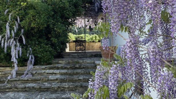 Un escalier en pierre mène à un bâtiment, avec un jardin en arrière-plan.