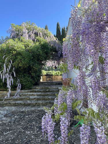 Herrliches Landgut im Herzen von Apulien Goldenen Dreieck (Valle d'Itria)