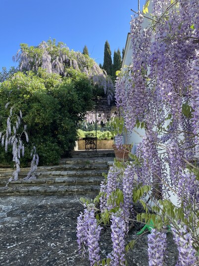 Excl Five Acres Villa, Trulli & Gorgeous 12x6 Pool - AC -WiFi - Valle d'Itria 