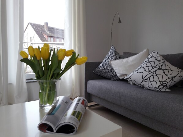 Una televisión, libros