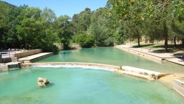 Une piscine aux eaux turquoise et limpides, entourée d’arbres, avec un chemin pavé en pierre.
