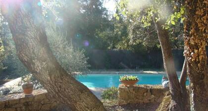 Ecological house for 6 people with terraces and large private pool.