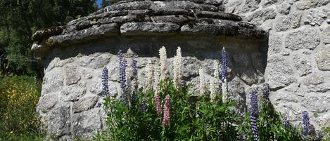 تفاصيل الفندق من الخارج