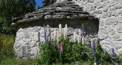 Das kleine Haus auf der Wiese