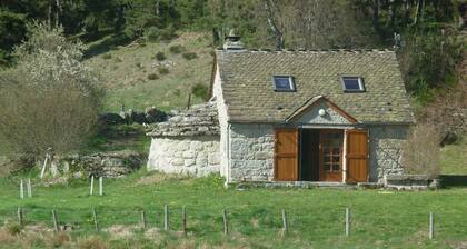 Das kleine Haus auf der Wiese 