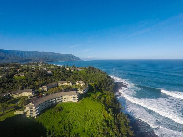 An aerial view of a coastal resort with multiple buildings, lush greenery, and a view of the ocean.