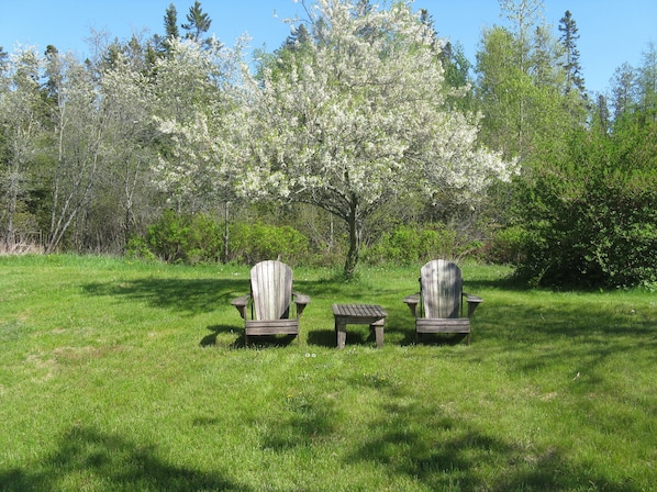 Two Adirondack chairs and a small table in a grassy field with trees in the background.