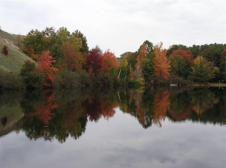Property grounds. Genuine Log Cabin on Beautiful Goshorn Lake