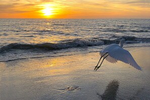 Liegestühle, Strandtücher