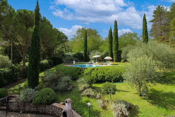 A garden with a swimming pool, surrounded by various trees and shrubs.
