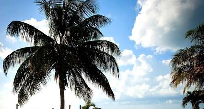 Premium 3 Bedroom beachfront villa with unrestricted Seaviews