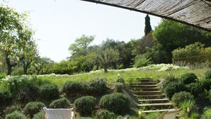 A garden with a wooden staircase leading up, surrounded by various shrubs and trees. There are two wooden chairs under a shaded area.