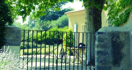 Mas Provencal - Proche Gordes & Abbaye de Senanque