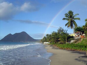 Une plage avec une montagne en arrière-plan, un arc-en-ciel et des palmiers.