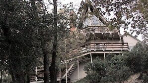 Un edificio con una scala che conduce a un balcone, circondato da alberi.