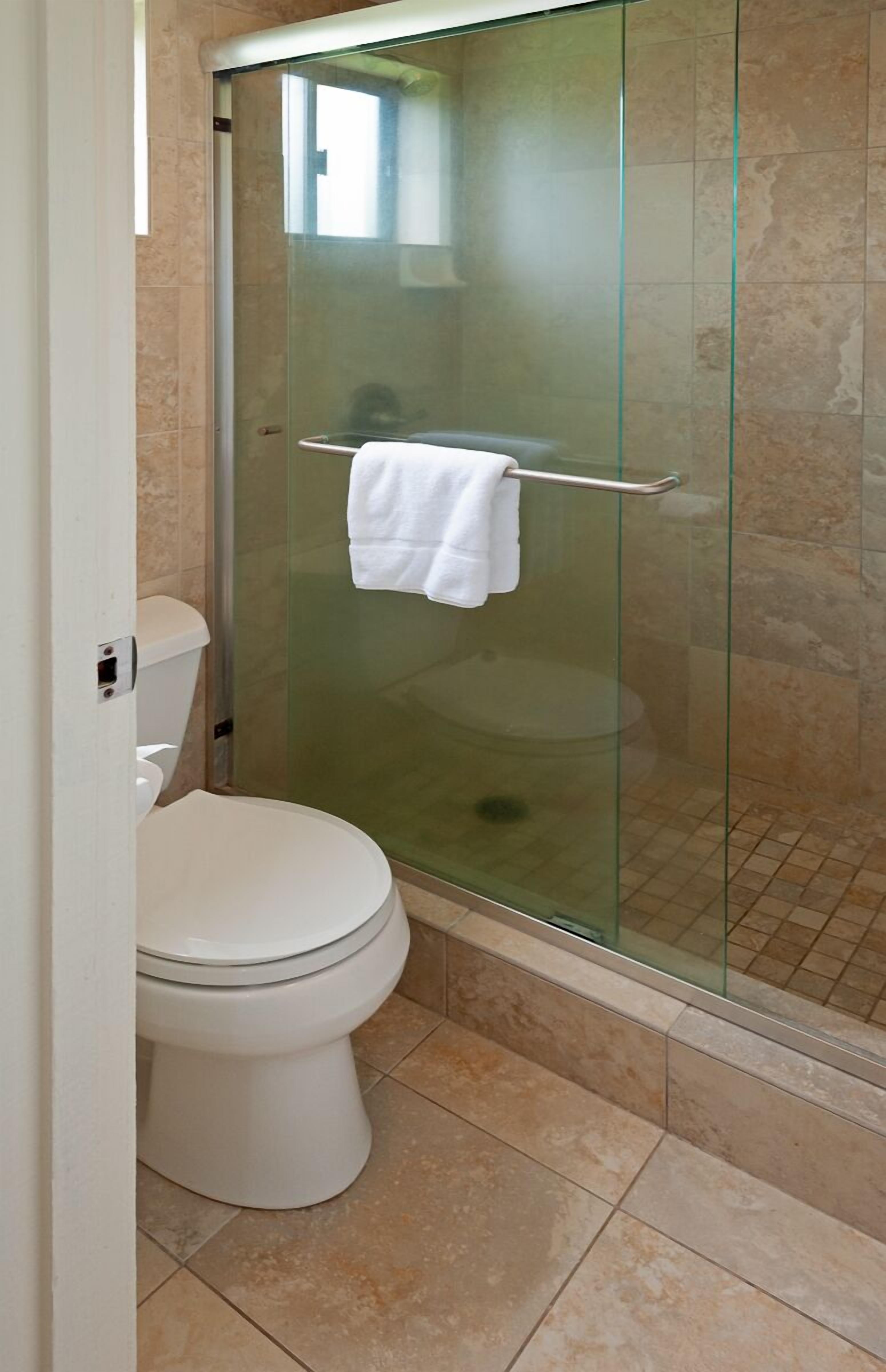 A bathroom with a glass-enclosed shower, a white toilet, and a glass shower door.