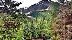 A car parked on a gravel path with a mountain in the background.