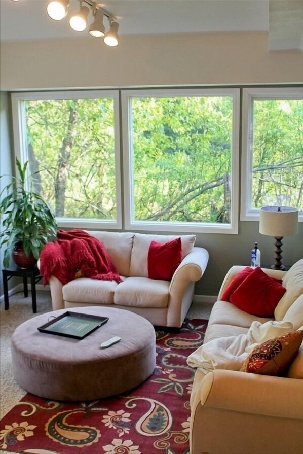 Smart TV, DVD player