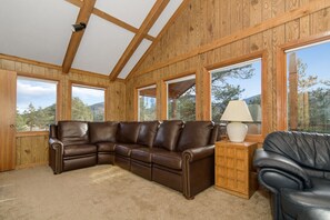 Smart TV, fireplace, DVD player, books