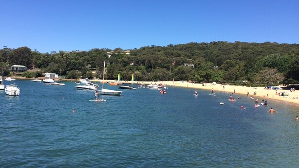 Une plage avec des bateaux, des gens et une colline boisée en arrière-plan.