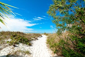 Vlak bij het strand