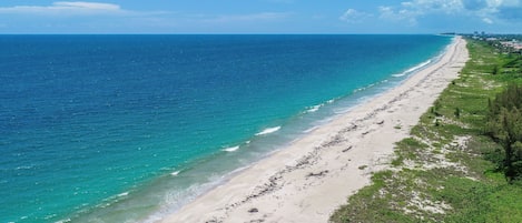 En la playa, camastros y toallas de playa 