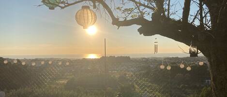 تناول الطعام بالخارج