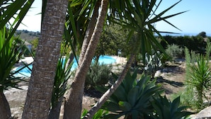 Une piscine entourée de palmiers et de plantes d’agave.