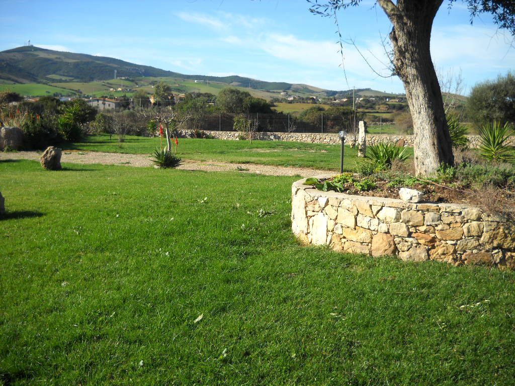 A stone retaining wall with a grassy field and a tree in the foreground.