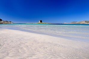 Une plage aux eaux turquoise et limpides, bordée d’un rivage sablonneux.