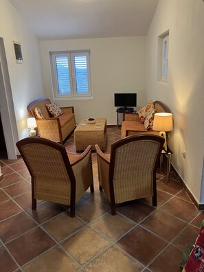 TV, DVD player, books, video library