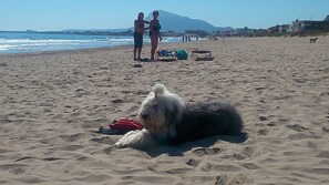 In StrandnÀhe