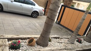 Ein weißes Auto parkt auf einer Auffahrt mit einem Blumenbeet und einem Blumentopf.
