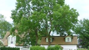A traditional house with a thatched roof, surrounded by lush greenery and a well-maintained garden. - Small coach house: 10 min. to the beach, in the middle of nature, sauna & whirlpool (Klein Bollhagen)