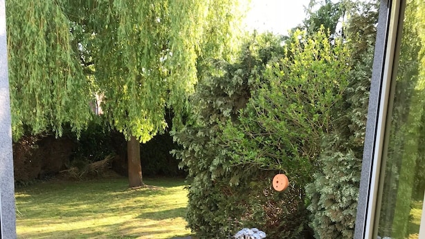 A patio with wicker furniture, a round table, and a small fountain. - Holiday house in the nature reserve Schwalmtal  (Schwalmtal)