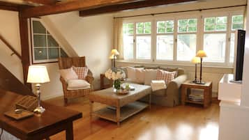 Ălytelevisio, takka, pöytĂ€tennispöytĂ€, kirjoja