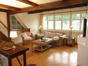 Älytelevisio, takka, pöytätennispöytä, kirjoja